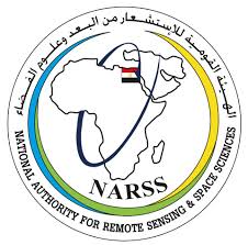 NARSS